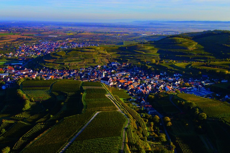 Winzergenossenschaft Königschaffhausen-Kiechlinsbergen