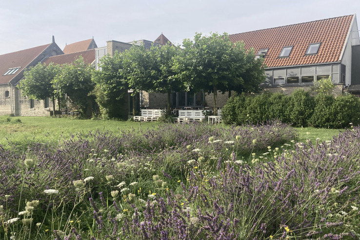 Hofcafé Domäne Marienburg