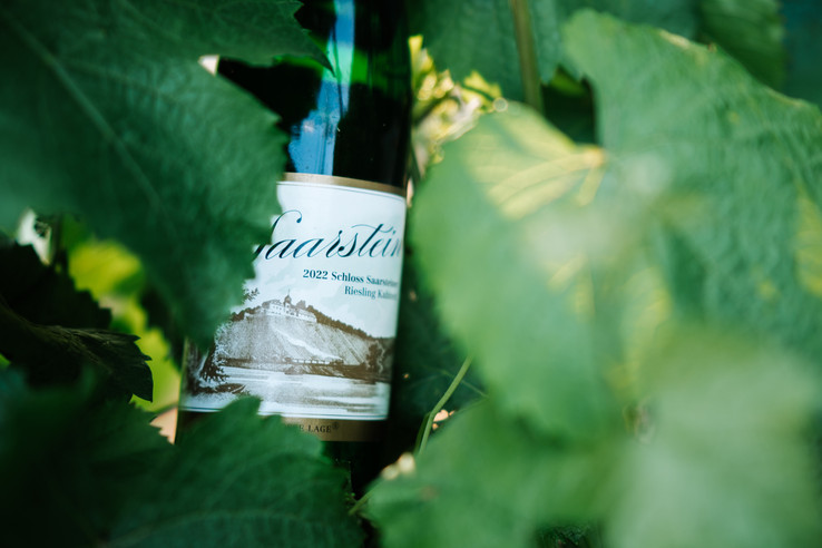 Weingut Schloss Saarstein
