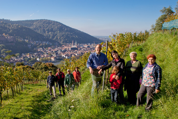 Weingut Adam Müller