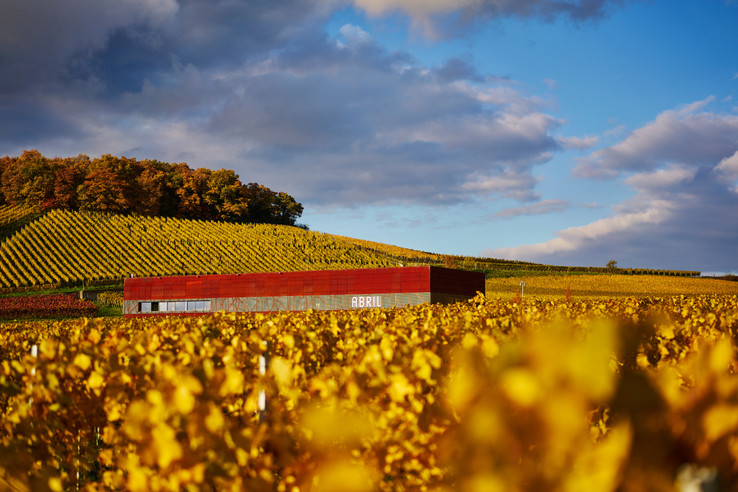 Weingut Abril