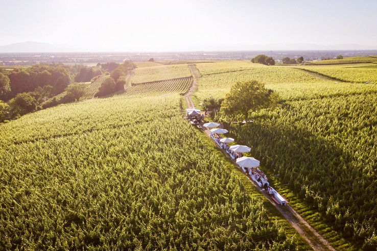 Weingut Zähringer