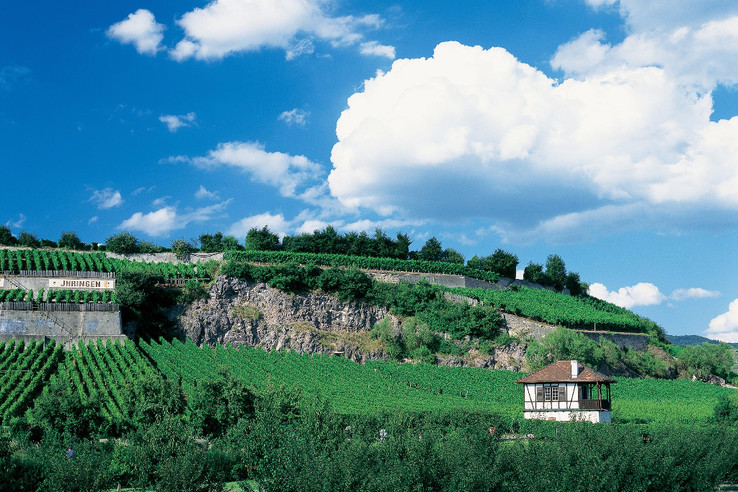 Weingut Stigler