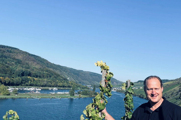 Weingut Ulrich Langguth