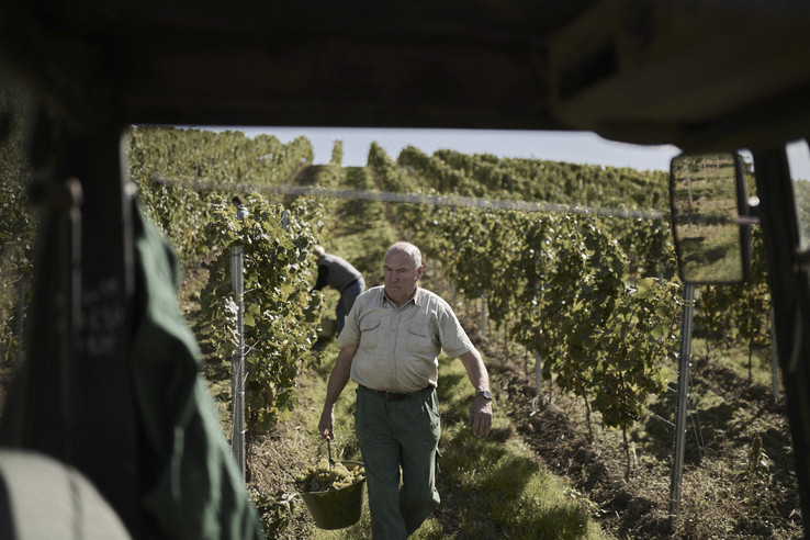 BioWeingut Gänz