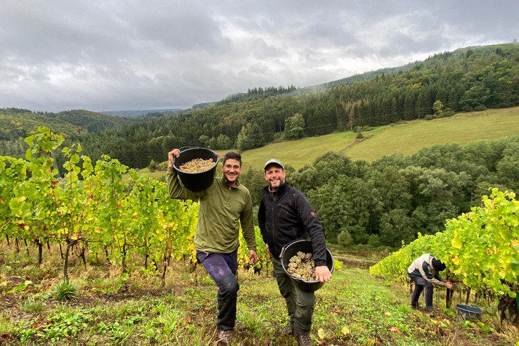 Weingut Sorentberg
