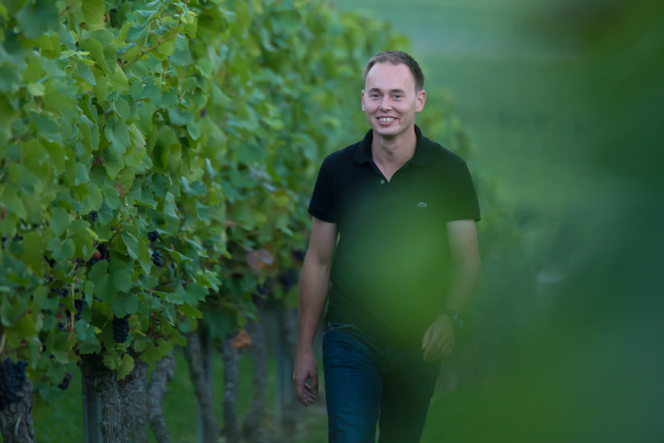 Weingut Fritzsch & Sohn