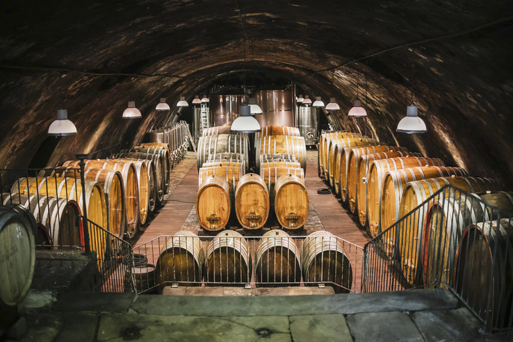 Weingut Wittmann