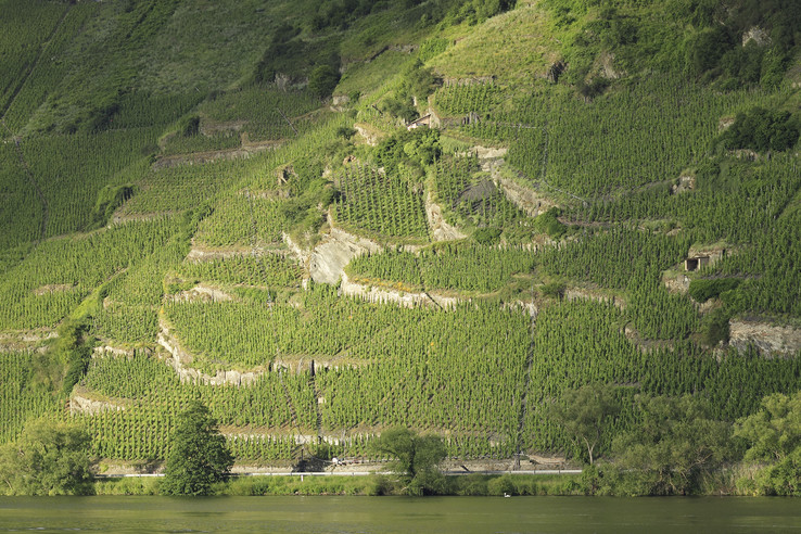 Weingut Weiser-Künstler
