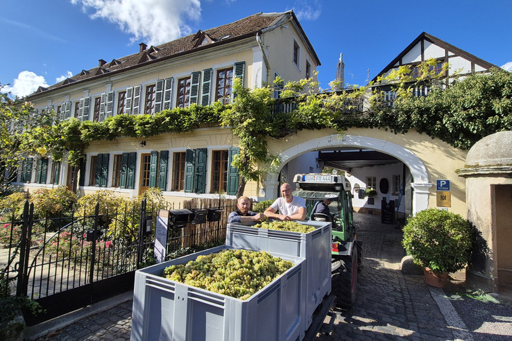 Weingut Fitz-Ritter
