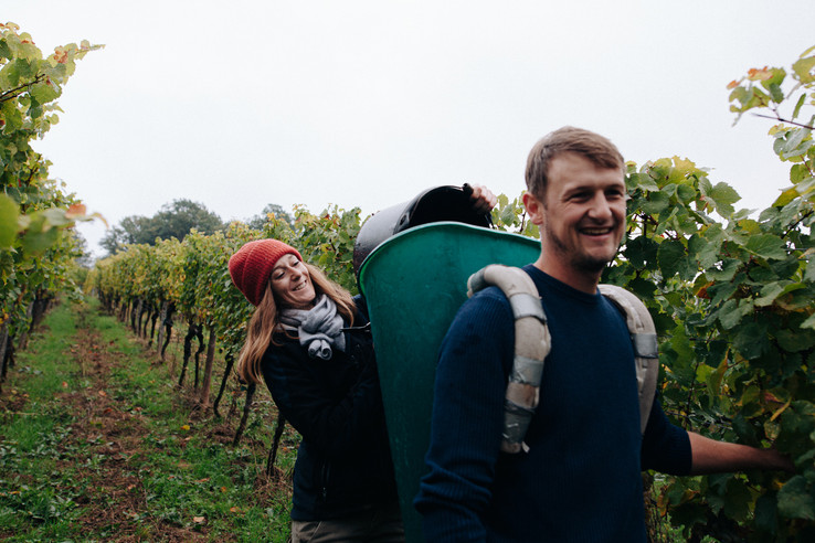 Weingut Höfler