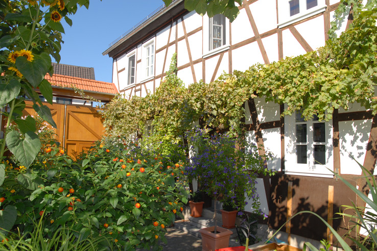 Weingut Graf-Binzel