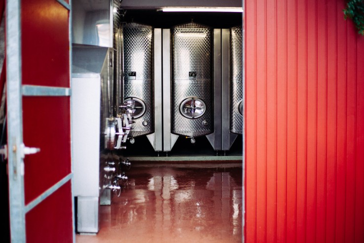 Weingut Fischborn-Schenk