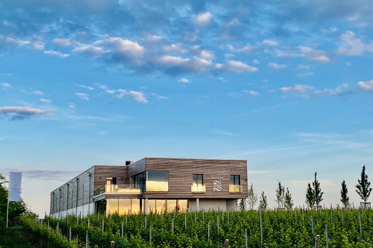 Weingut Thörle