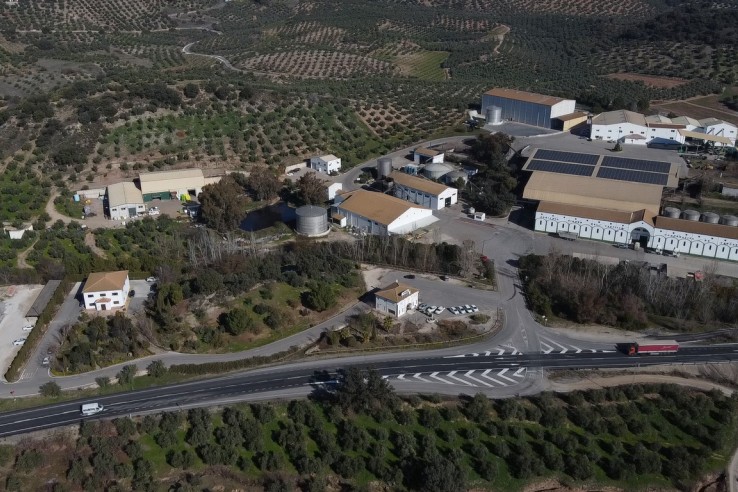 Almazaras de la Subbética