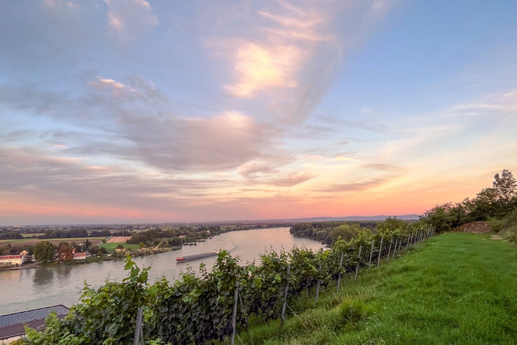 Weingut Eckehart und Johannes Gröhl