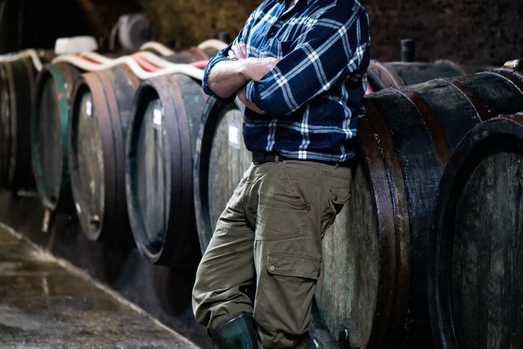 Weingut Ulrich Langguth