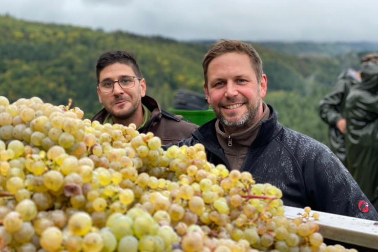 Weingut Sorentberg