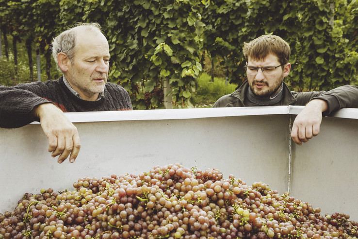 Weingut & Winzerhof Emmerich