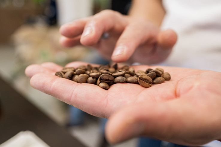 Caffè Pilu