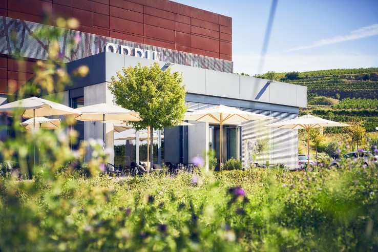 Weingut Abril