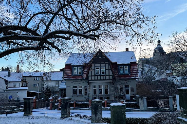 Der Froschkönig - Das Café