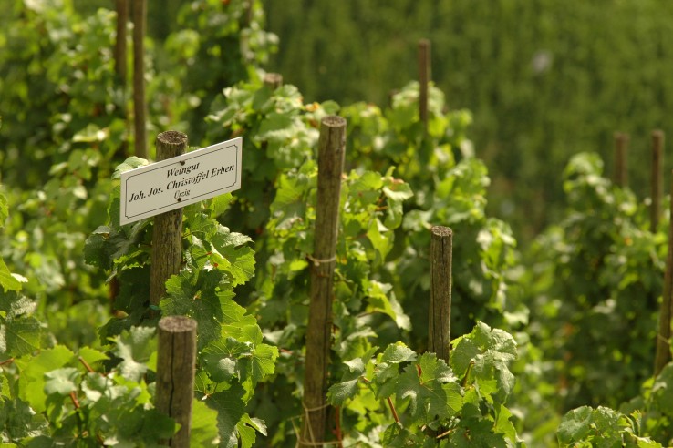 Weingut Joh. Jos. Christoffel Erben