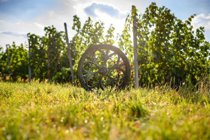 Weingut Köster-Wolf