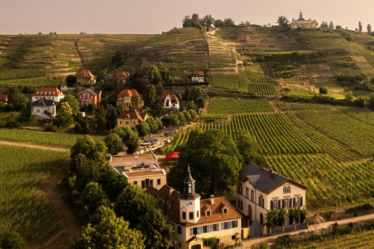 Weingut Karl Friedrich Aust