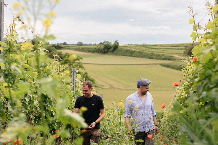 Weingut Zähringer