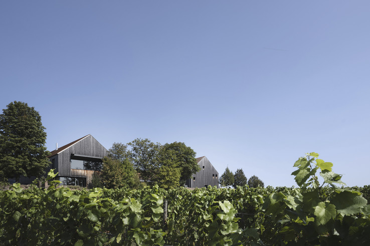 Weingut Rudolf Fürst