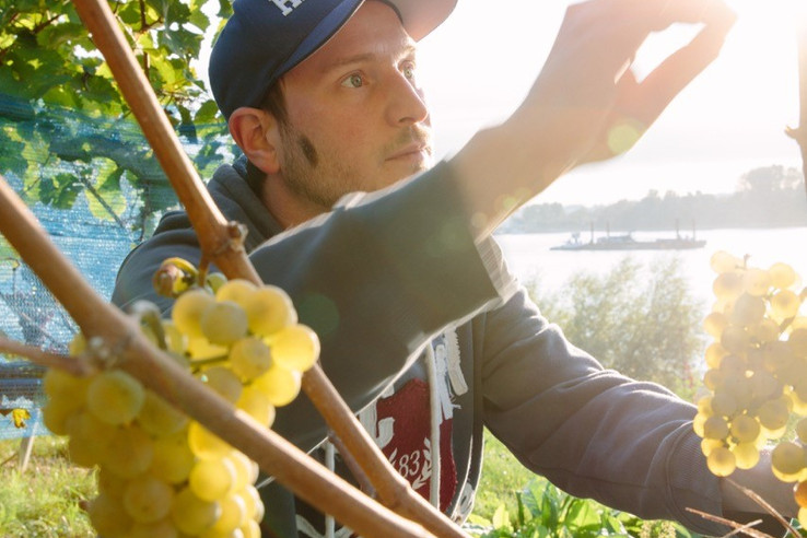 Weingut Jakob Jung