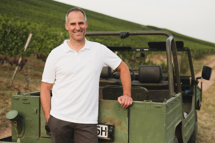 Weingut Schneider - Guldental