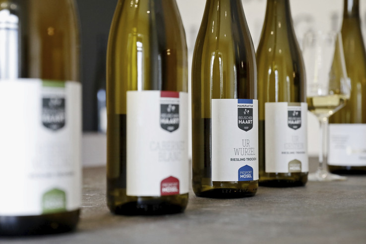 Weingut Reuscher-Haart