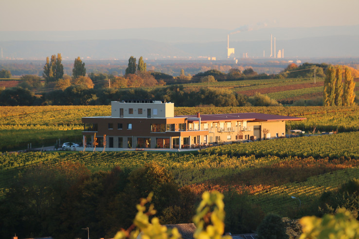 Weingut Dirk Voegeli