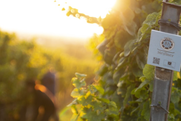 Weingut Herbert Meßmer