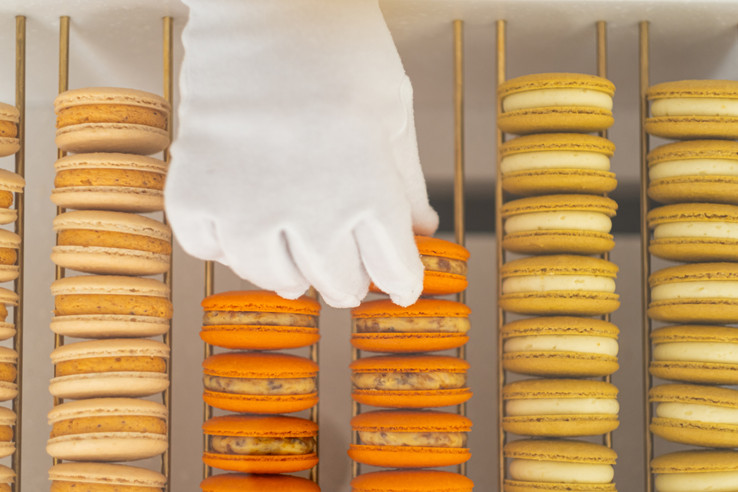 LOTI PANTÓN Macarons