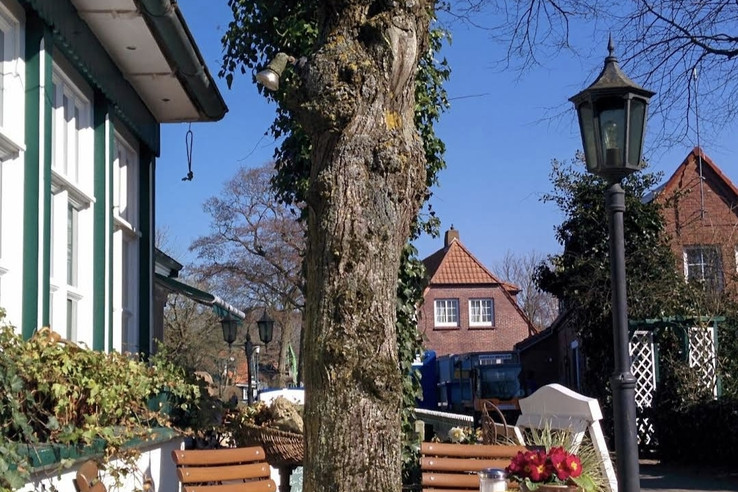 Inselcafé