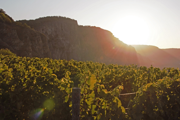 Weingut Beisiegel