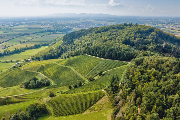 Weingut Otto und Martin Frey
