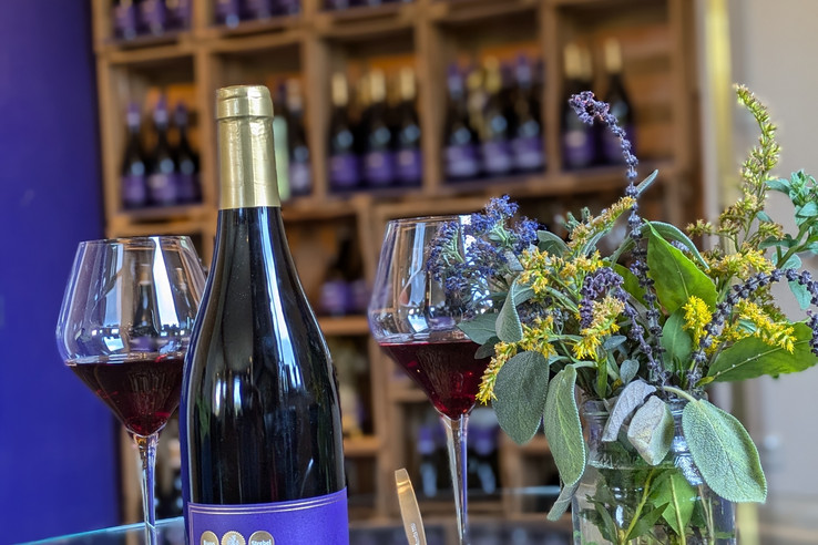 Weingut Lisa Bunn