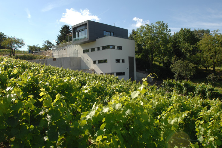 Weingut Kusterer