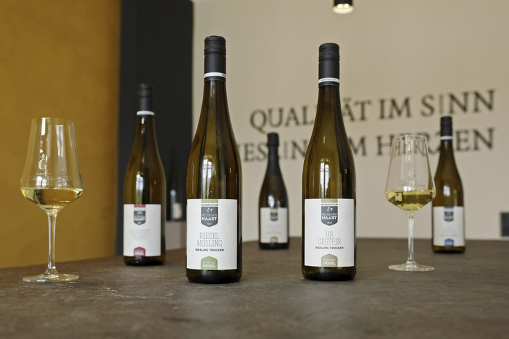 Weingut Reuscher-Haart