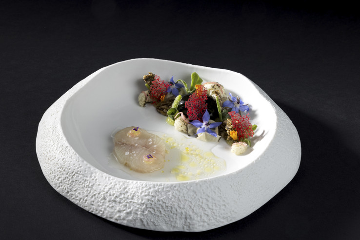 Jellyfish by Stefan Fäth