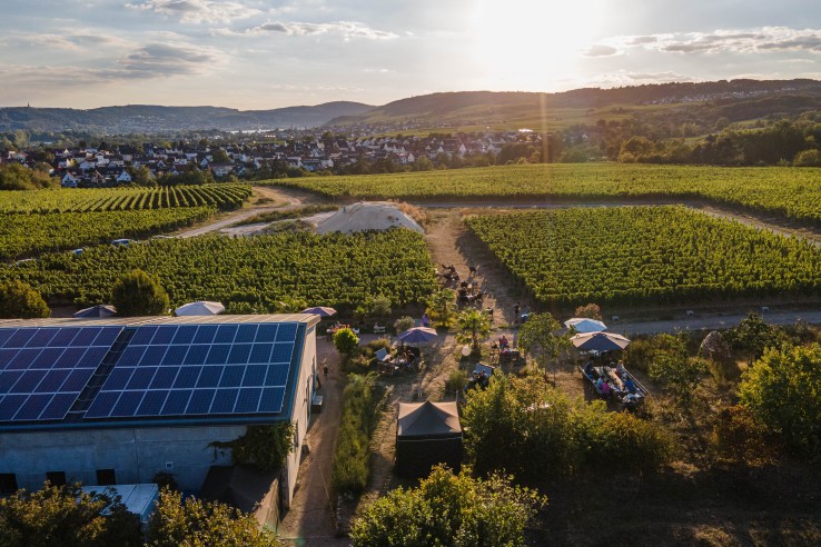 Weingut Dillmann