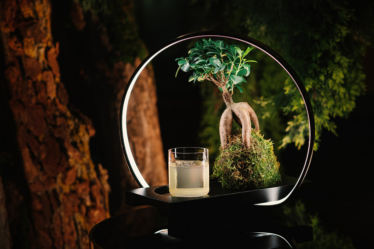 Mirror Bar