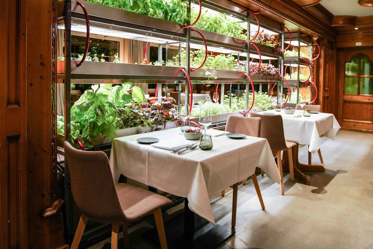 Seegarten