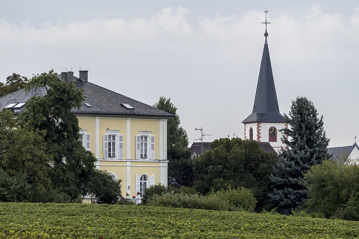 Domdechant Werner’sches Weingut