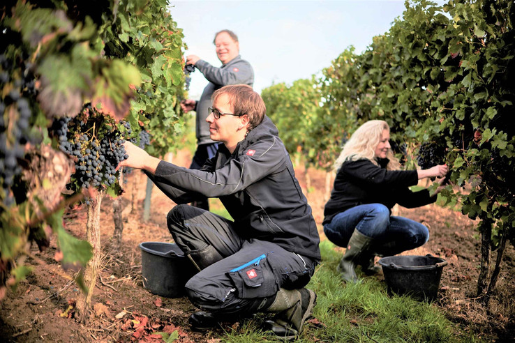Weingut Münzenberger