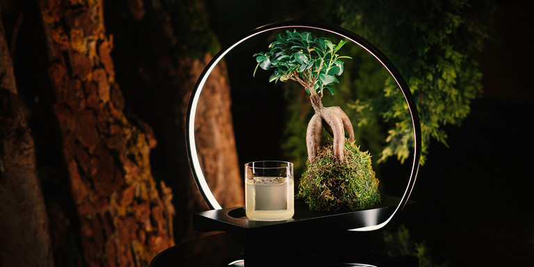 Mirror Bar